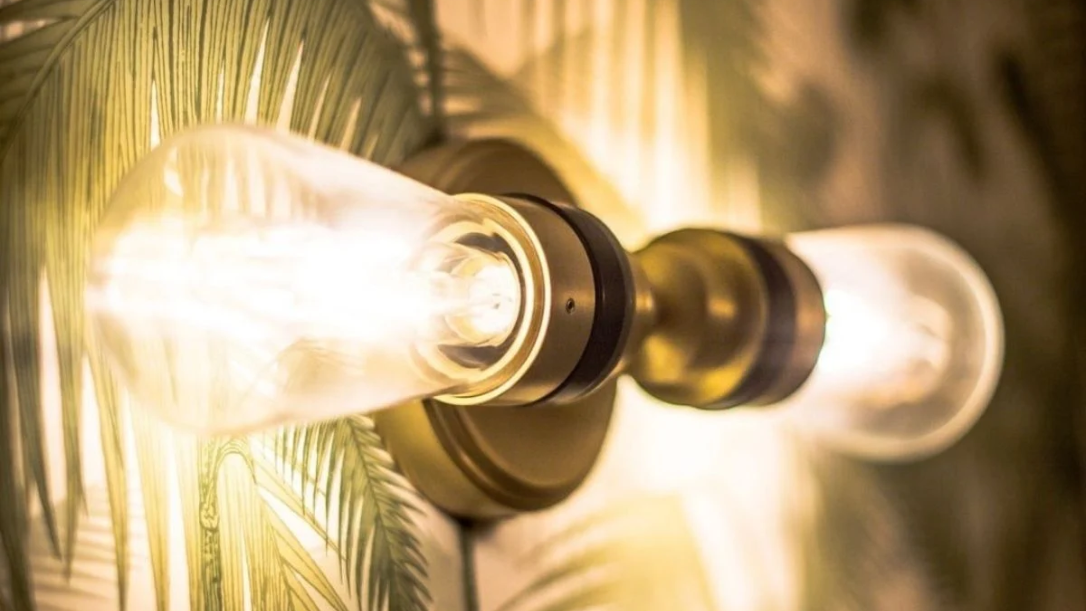 Understanding the Benefits of LED Light Bulbs