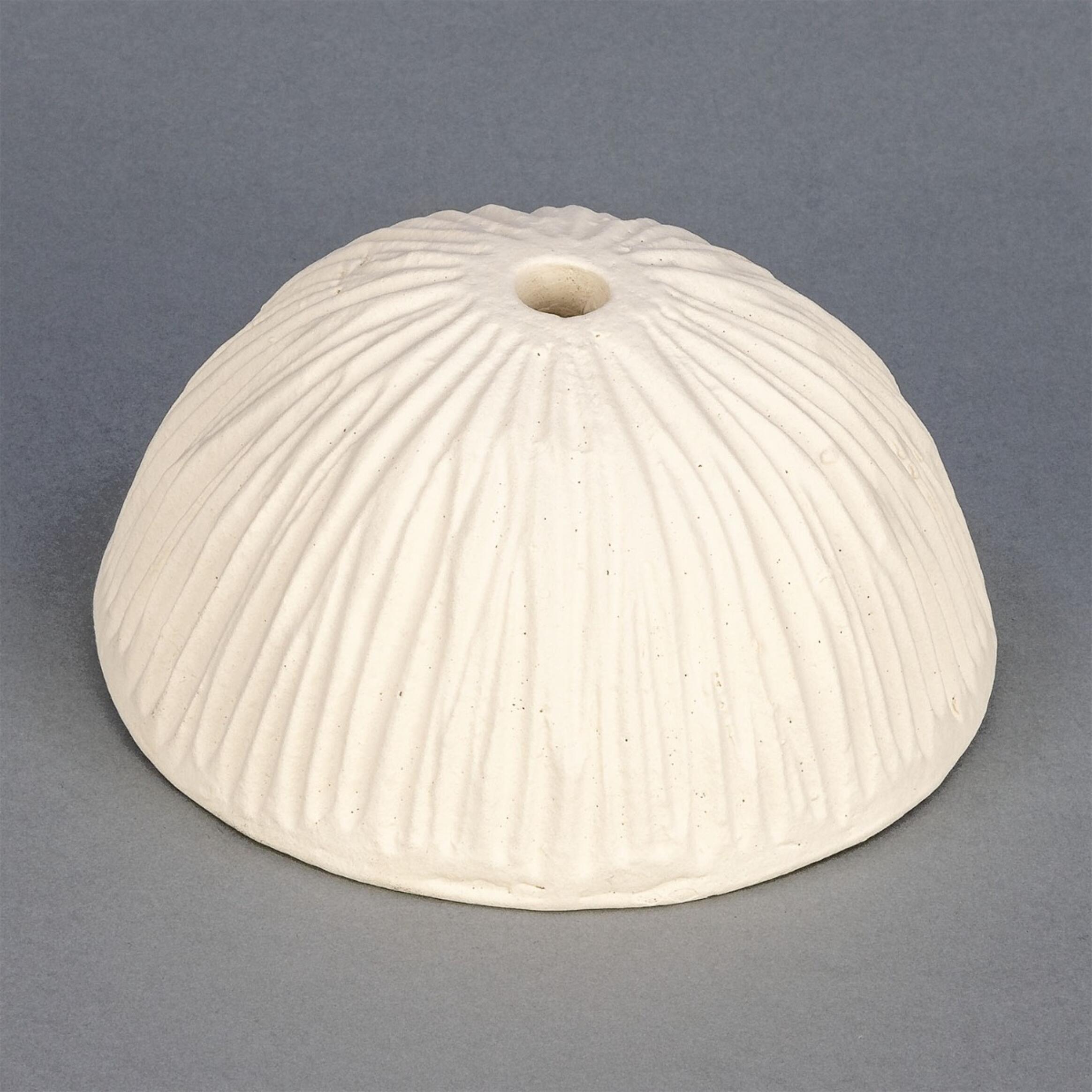 mlcs091_1.jpg