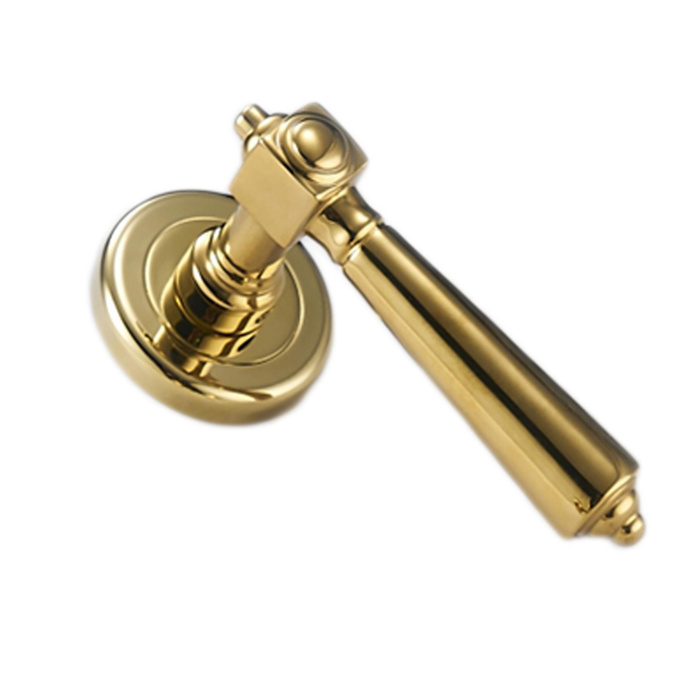 Nelson Antibacterial Brass Door Handle with Lock (Set of 2