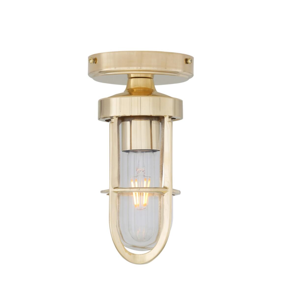 Plafonnier lampe de coursive en verre et avec une cage Oregon. Luminaire semi-encastré IP65 main product image