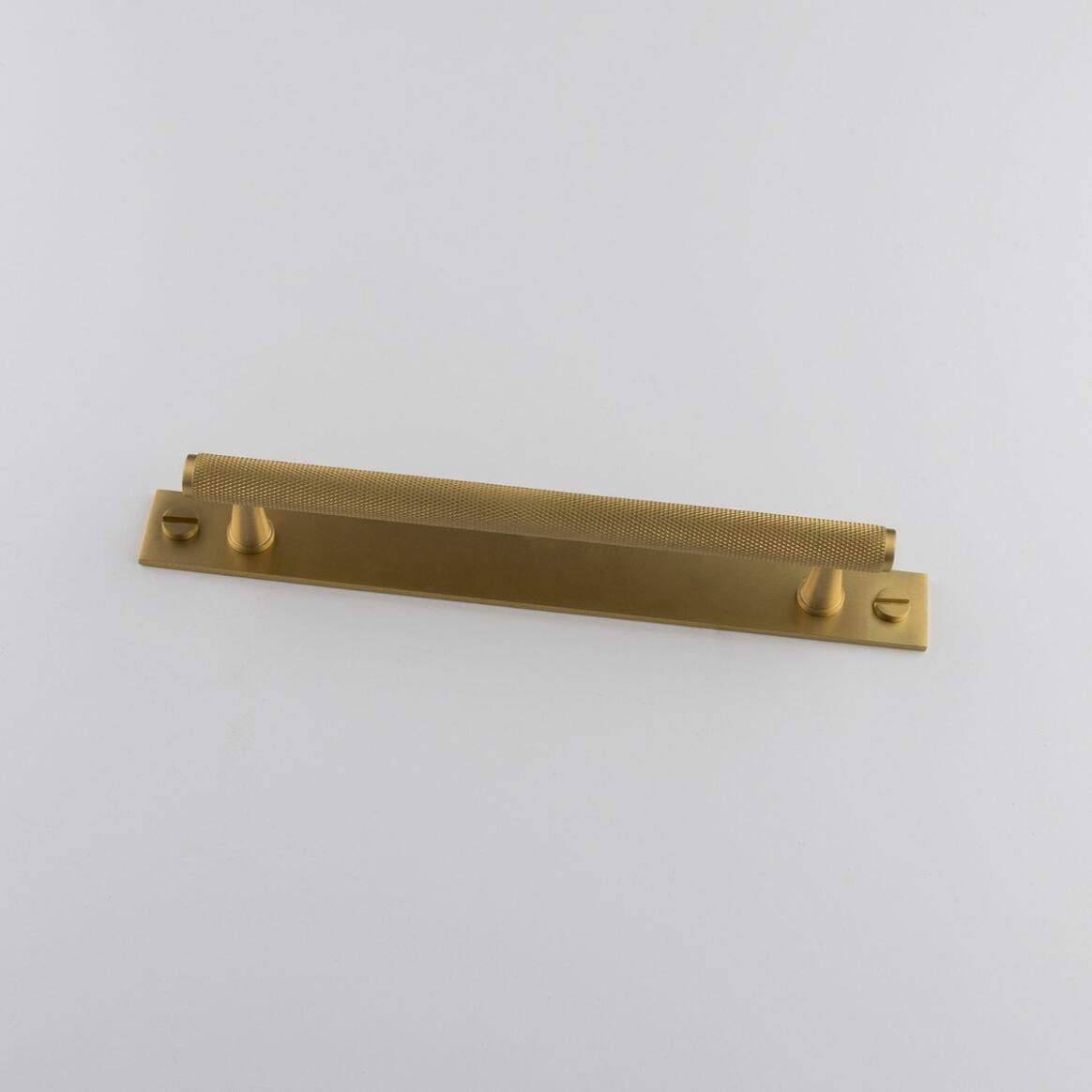 Poignée de tirage en laiton moleté Lincoln avec plaque arrière main product image