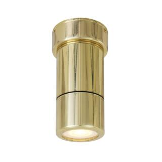 Ennis Brass Ceiling Light