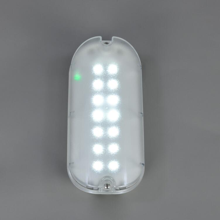 Luminaire LED de secours pour voie d’évacuation, permanent et non permanent, blanc 21 cm