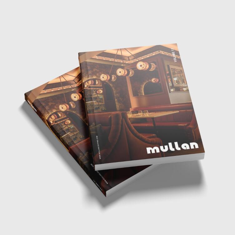 Mullan Lighting's 2025 Catalogue