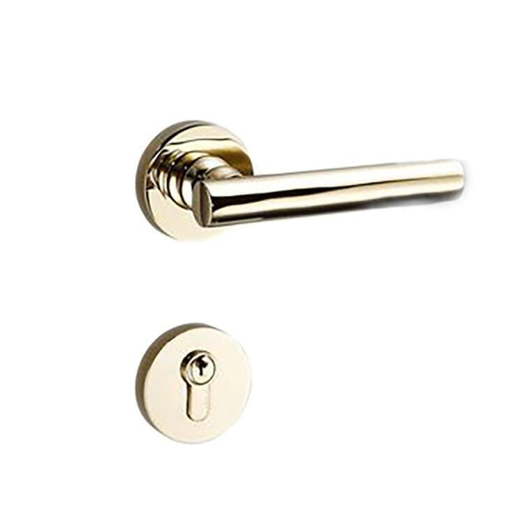 Winton Antibacterial Brass Door Handle, False Lock (Set of 2)