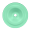 Mint Turquoise