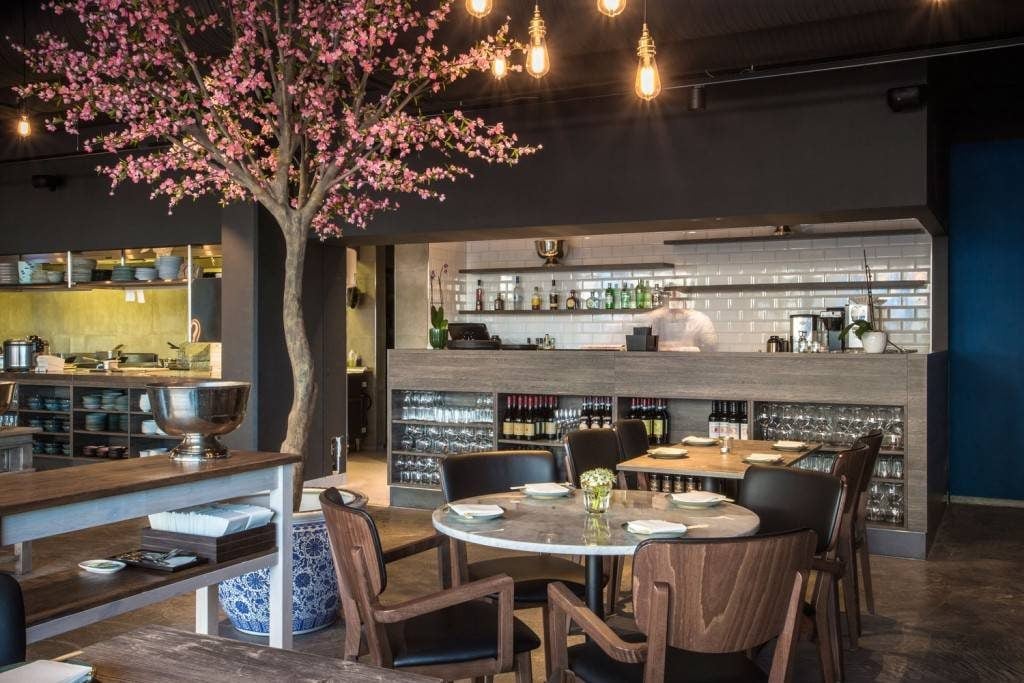 A large potted plant softens the industrial nature of the restaurant's design