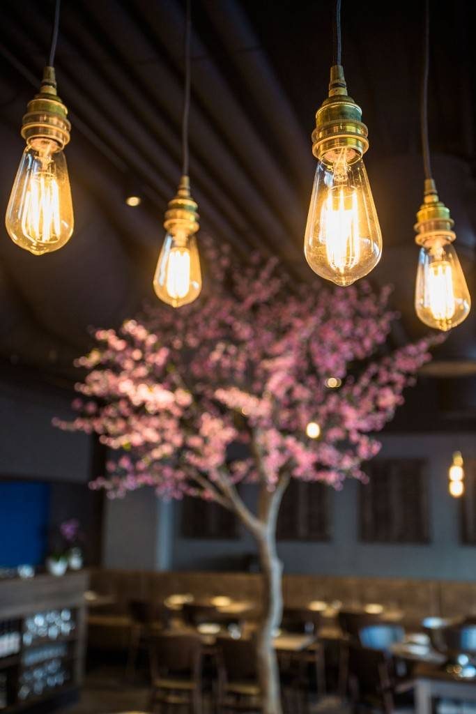 Our industrial Lome pendant lights with a pink-flowered tree as a gentle backdrop